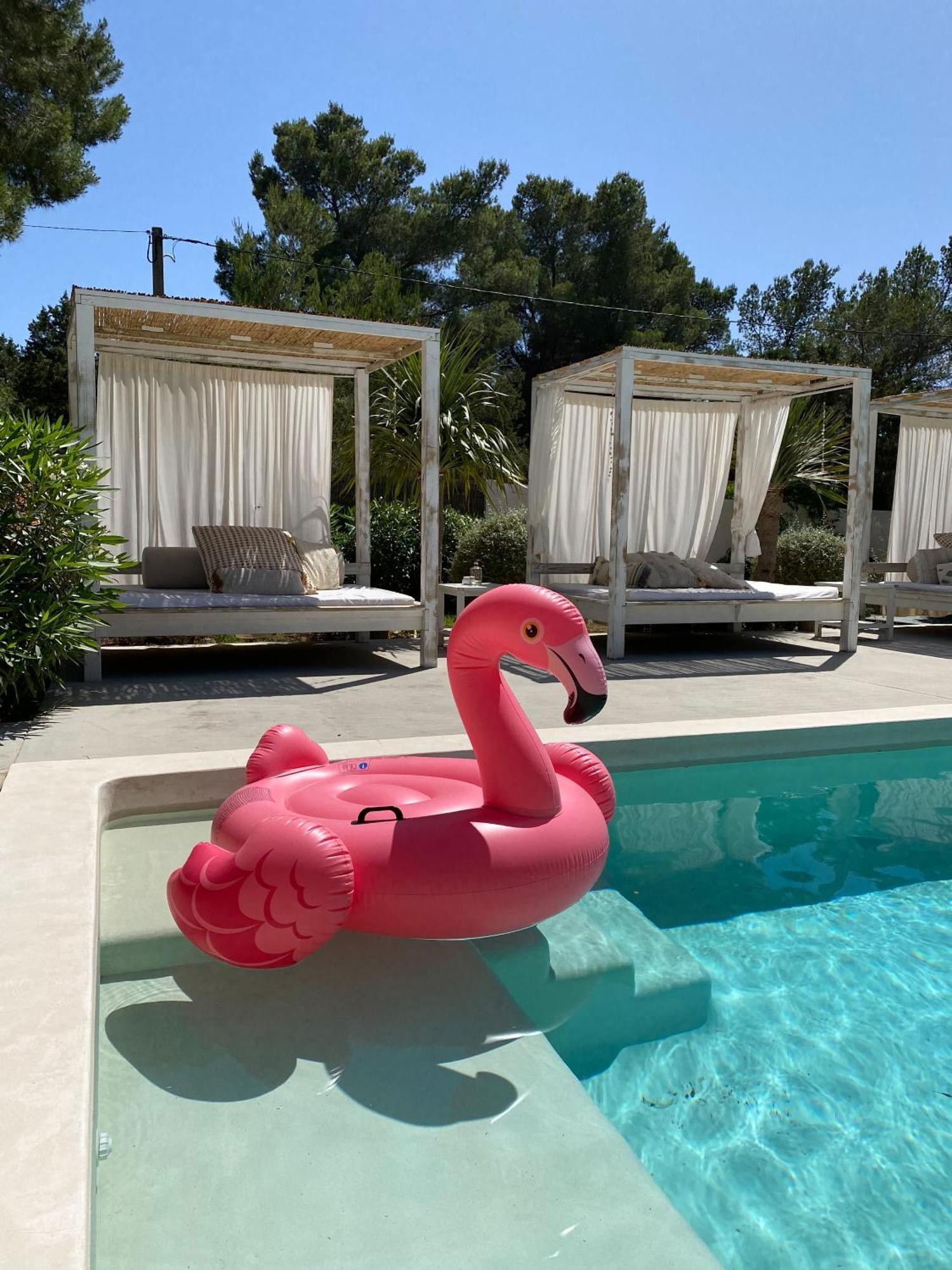 Boutique Hotel Casa Caracol - Apartments In Strandnaehe, Salzwasserpool, Fotovoltaik, Adults Only San José Eksteriør bilde